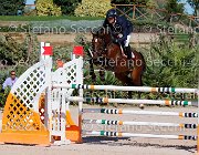 Apolloni Baby Arko GioCav2013 S5 1889 : Apolloni Gianluca, Baby Arko, Campionati Italiani Giovani Cavalli, Cattolica, ph Stefano Secchi ©